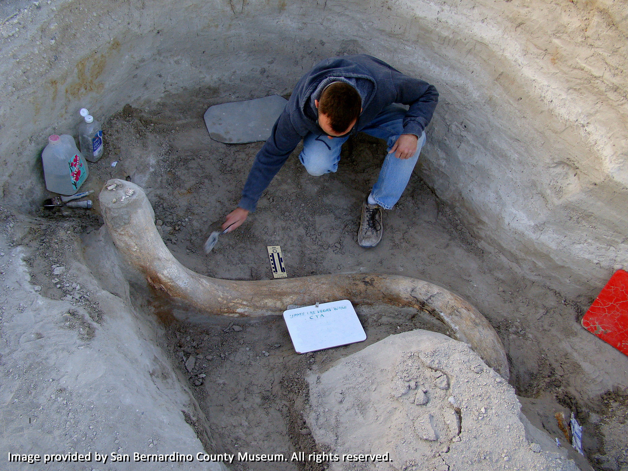 What is Tule Springs? | Protectors of Tule Springs Fossil Beds