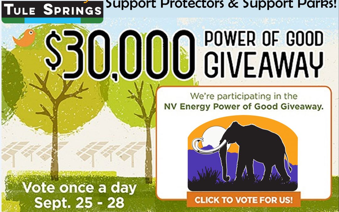 Vote for Protectors and Help Build a New Park!